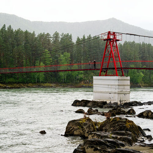 Photo #14032555