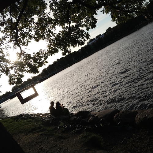 Photo #14032614
