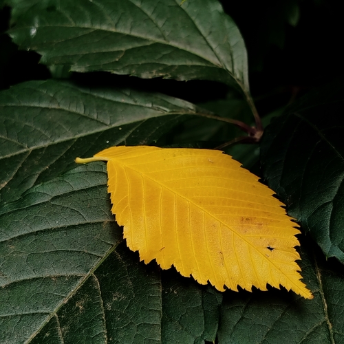 Photo #14032641
