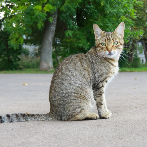 Photo #14032682