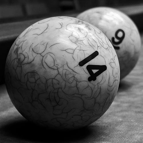 Photo #14032685