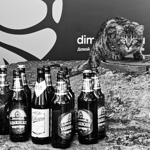 Photo #14032686