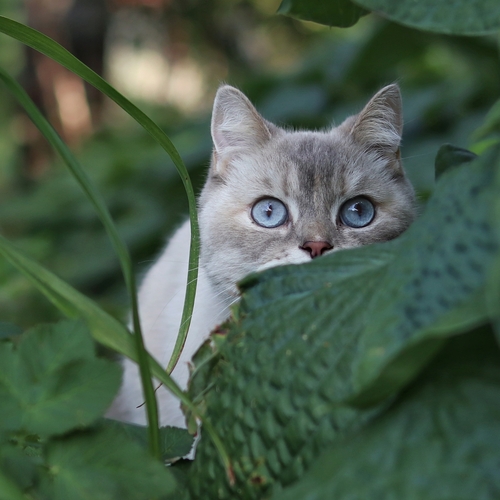 Photo #14032693