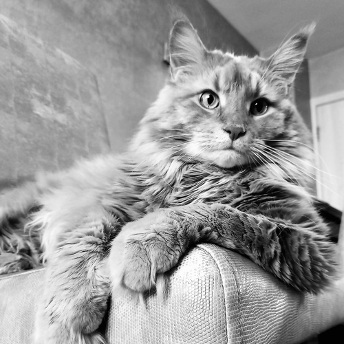Photo #14032701