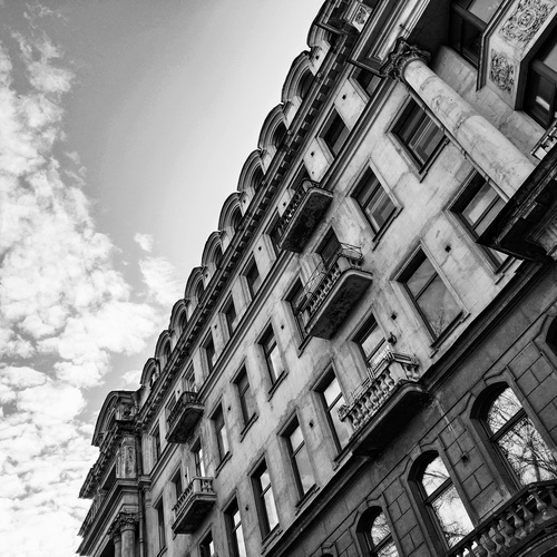 Photo #14032707