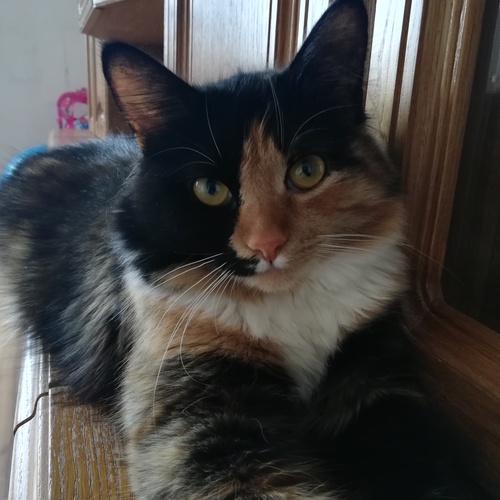 Photo #14032757