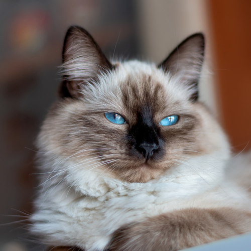 Photo #14032769