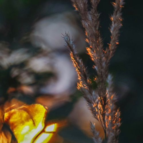 Photo #14032789