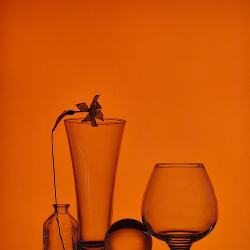 Photo #14032797