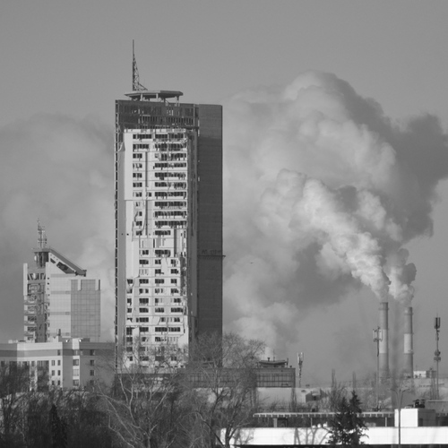 Photo #14032849