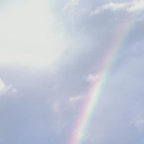 Photo #14032952