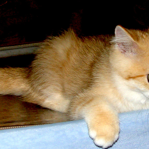 Photo #14032964
