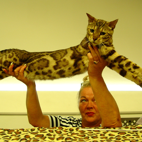 Photo #14032973