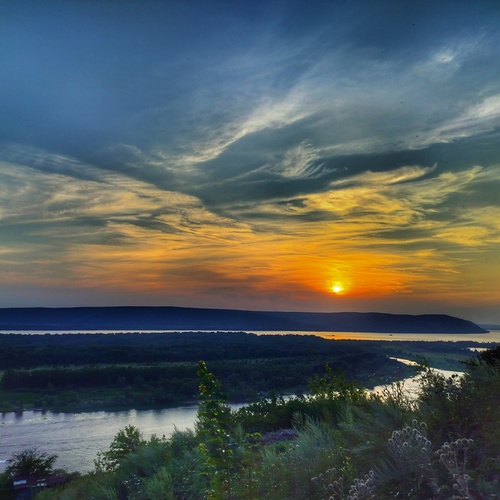 Photo #14032982