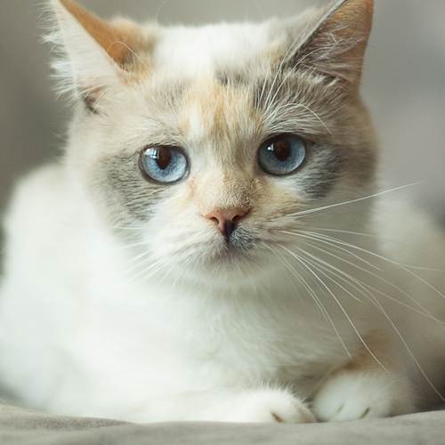 Photo #14032991