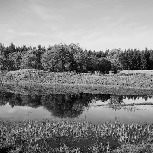 Photo #14033004