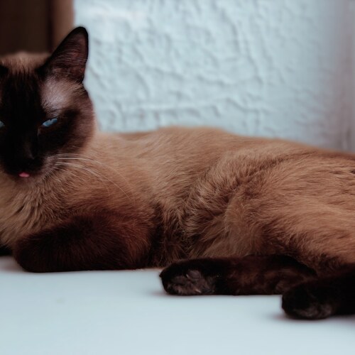 Photo #14033088