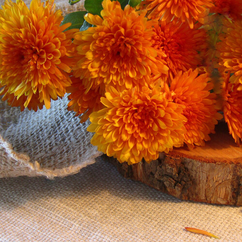 Photo #14033089