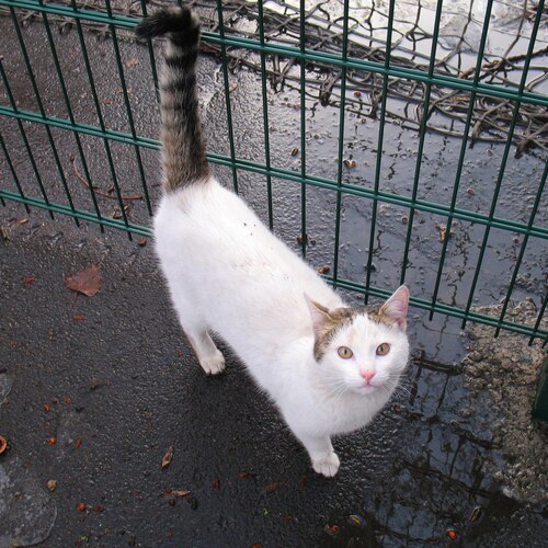 Photo #14033119