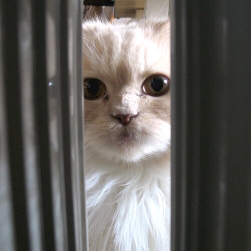 Photo #14033120