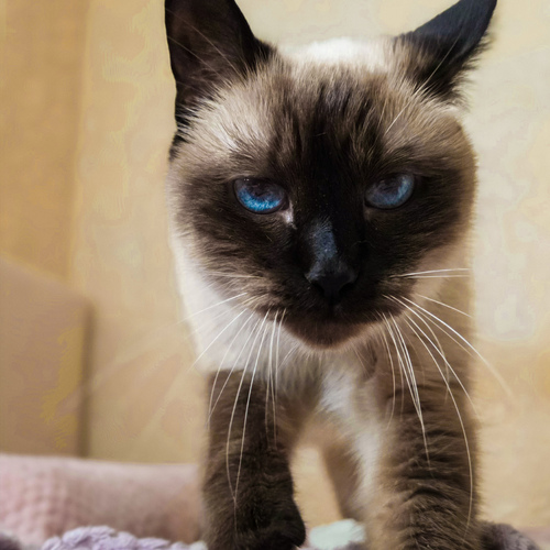 Photo #14033121