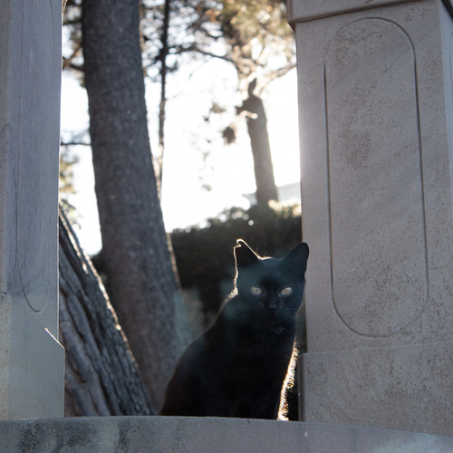 Photo #14033135