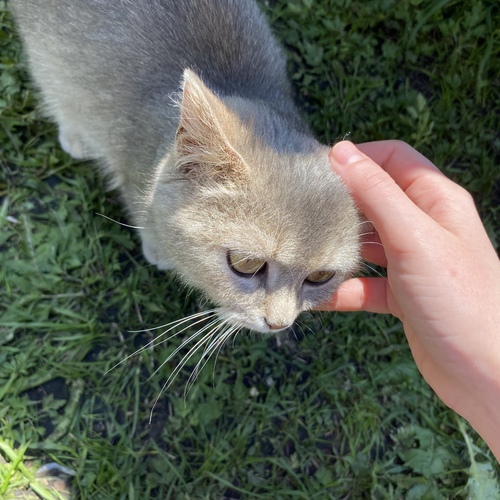 Photo #14033187