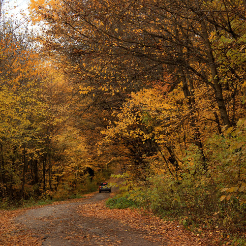 Photo #14033229