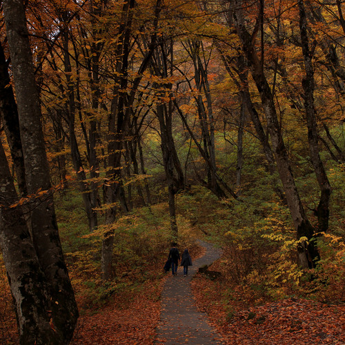 Photo #14033230