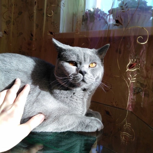 Photo #14033231