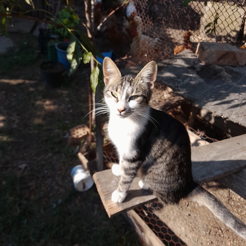 Photo #14033270