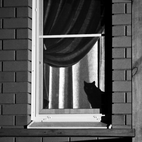 Photo #14033309
