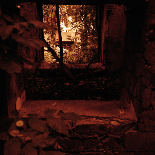 Photo #14033325