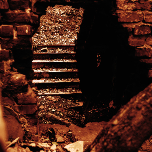 Photo #14033333