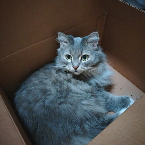 Photo #14033394