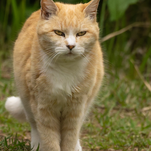 Photo #14033424