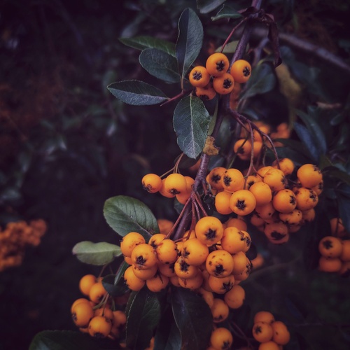 Photo #14033434