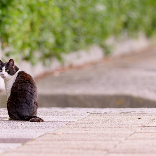 Photo #14033438