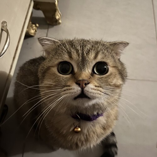 Photo #14033458