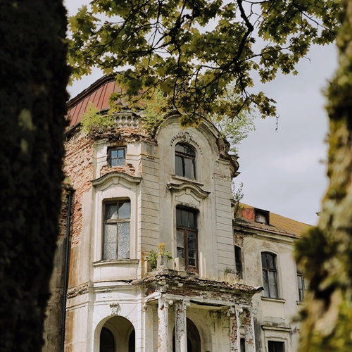 Photo #14033461