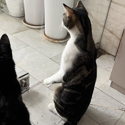 Photo #14033469