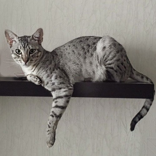 Photo #14033493