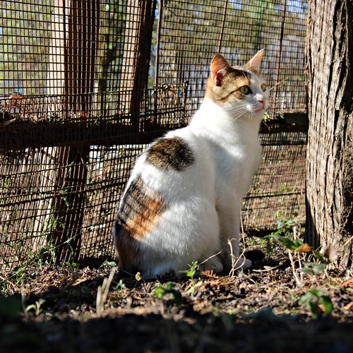Photo #14033499