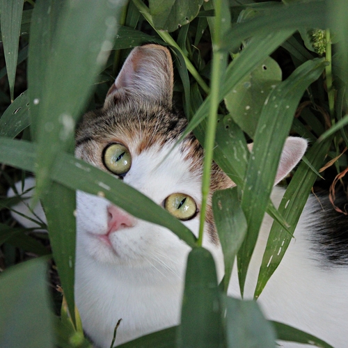 Photo #14033502