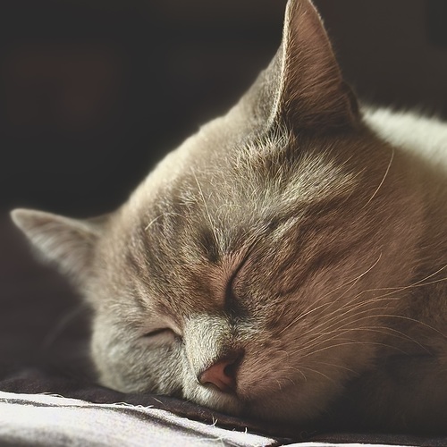 Photo #14033513