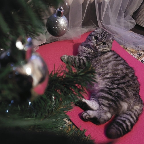 Photo #14033529