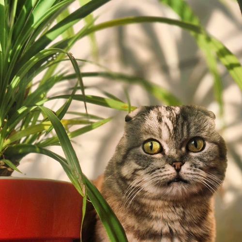Photo #14033530