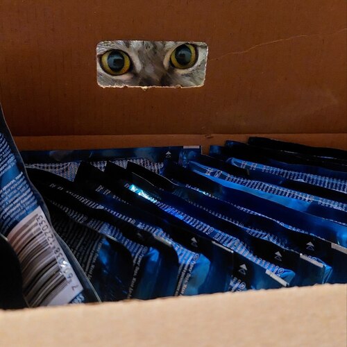 Photo #14033535