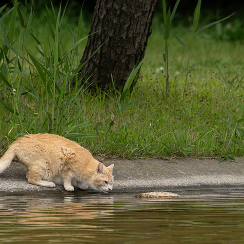 Photo #14033537