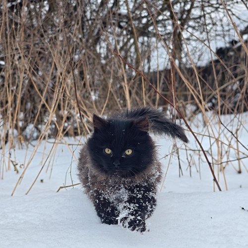 Photo #14033558